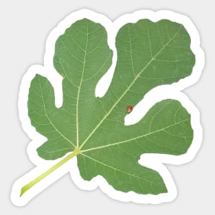 Fig Leaf Sticker